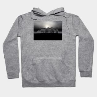 Dark Art Forest in the Fog / Swiss Artwork Photography Hoodie